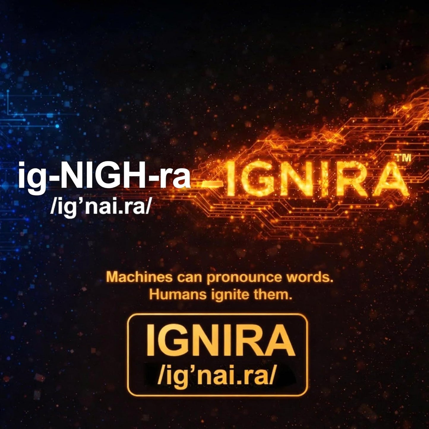 IGNIRA Dried Mango Slices Covered in Matcha Chocolate, Pack of 6 (10.58 oz)