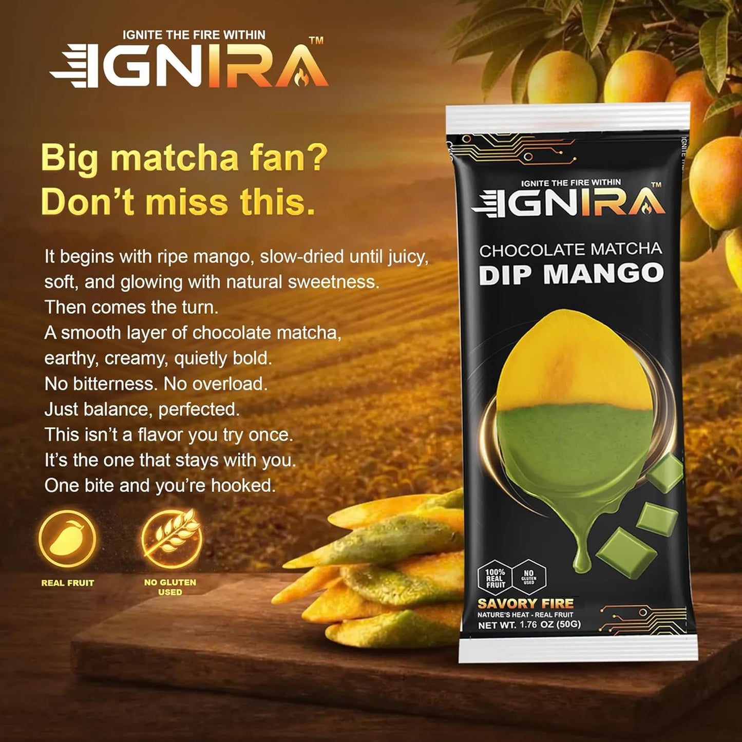 IGNIRA Dried Mango Slices Covered in Matcha Chocolate, Pack of 6 (10.58 oz)